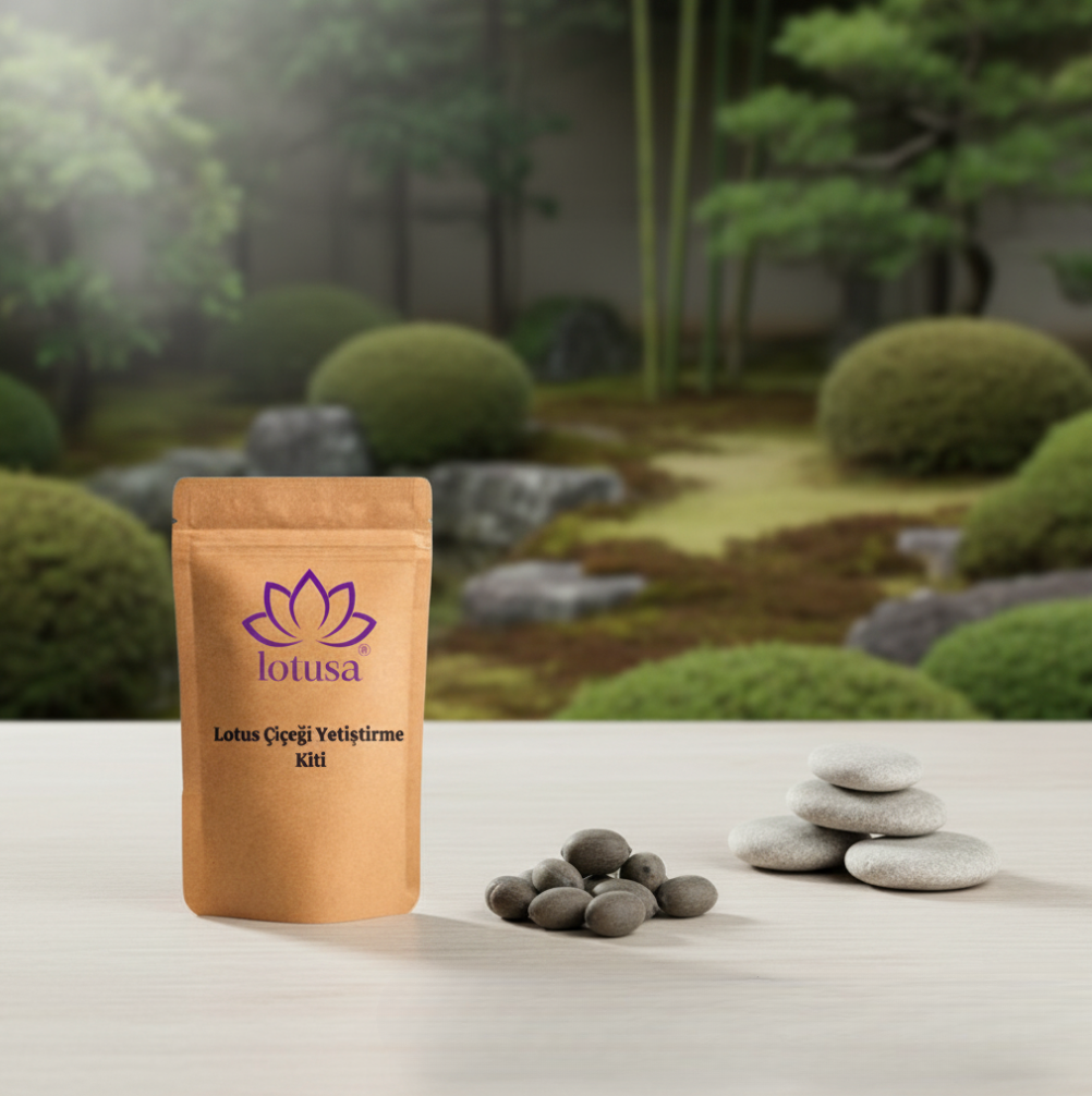 Lotusa® Lotus Çiçeği Yetiştirme Kiti
