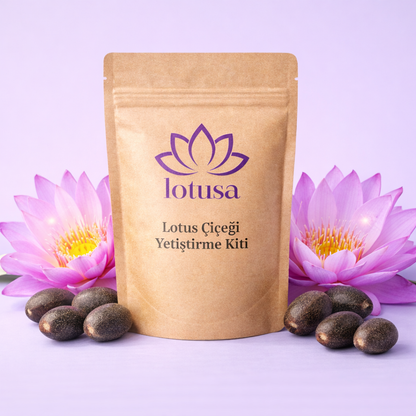 Lotusa®  Lotus Çiçeği Yetiştirme Kiti