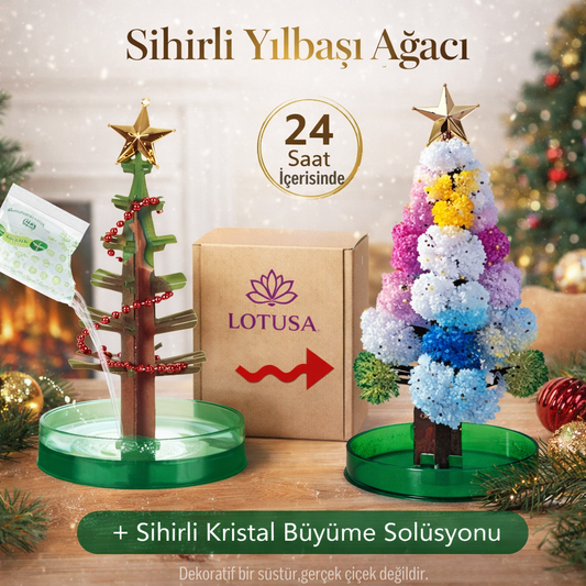 Sihirli Yılbaşı Ağacı | 24 Saatte Büyüyen Dekoratif Kristal Ağaç