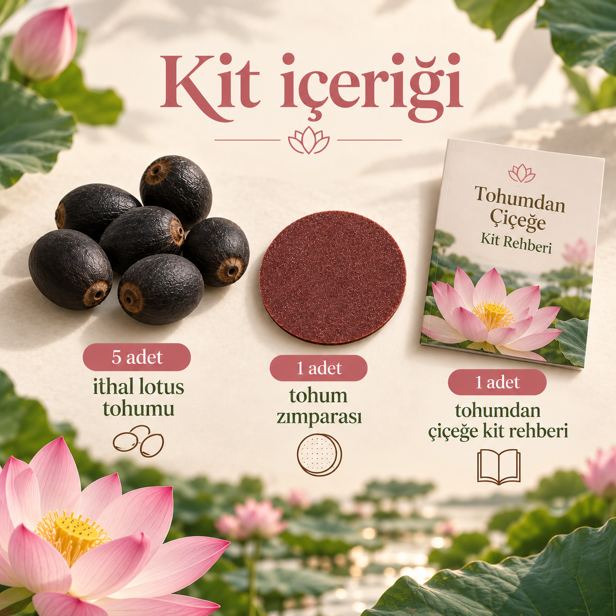 Lotusa®  Lotus Çiçeği Yetiştirme Kiti