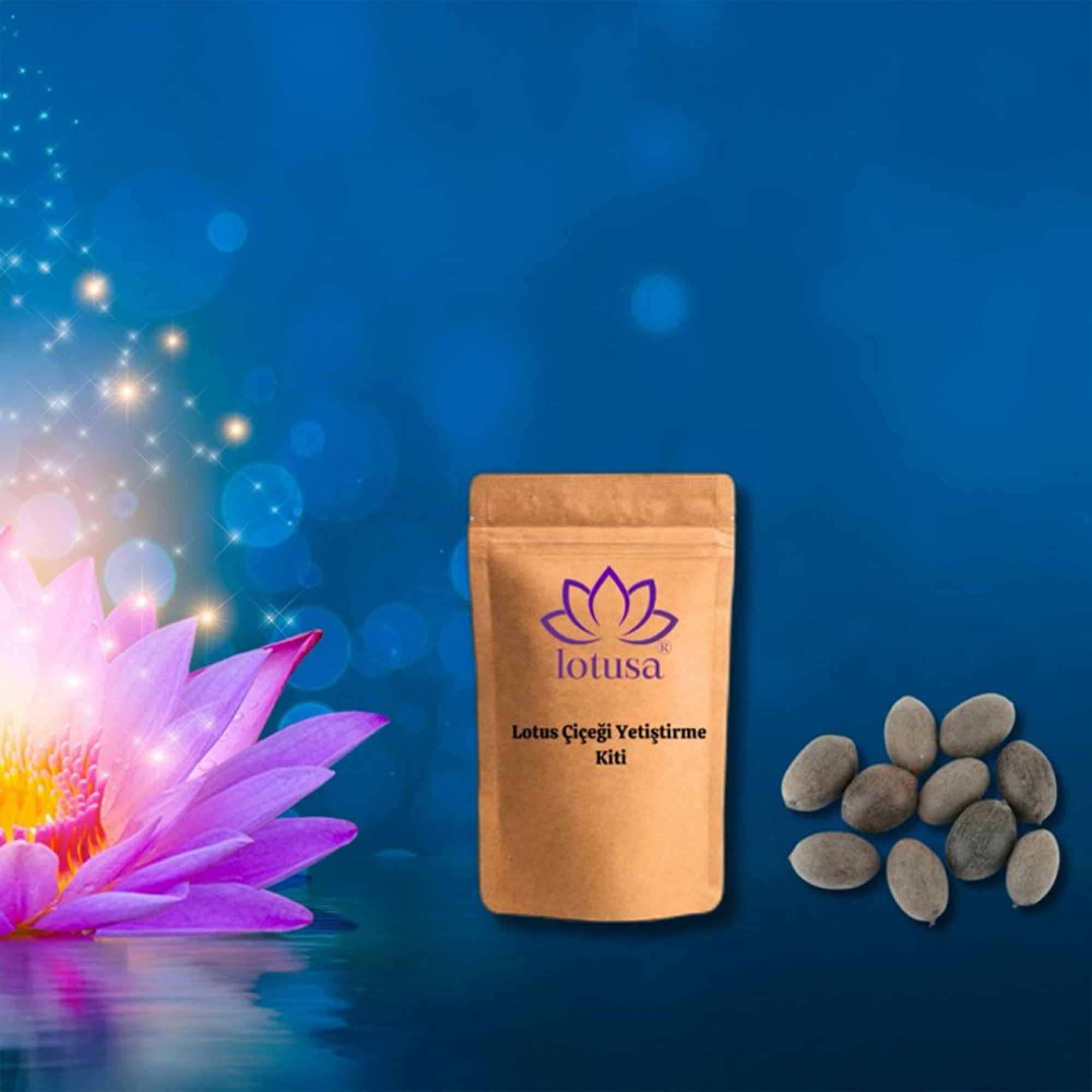 Lotusa® Lotus Flower Growing Kit
